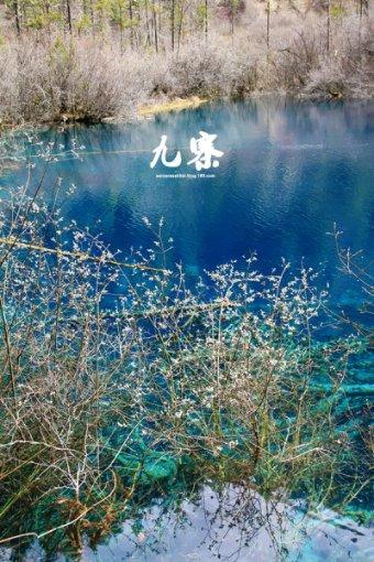 召唤神龙万宁版祖龙